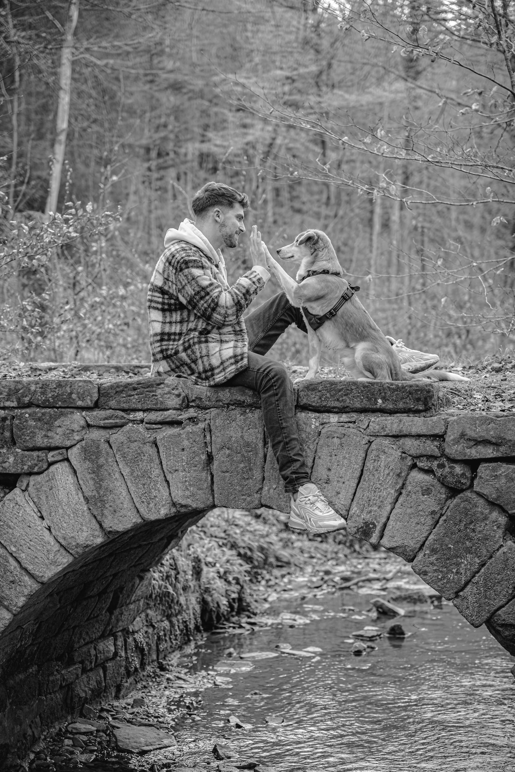 Luis Grau sitzt auf einer Steinbrücke im Wald und gibt einem Hund ein High five